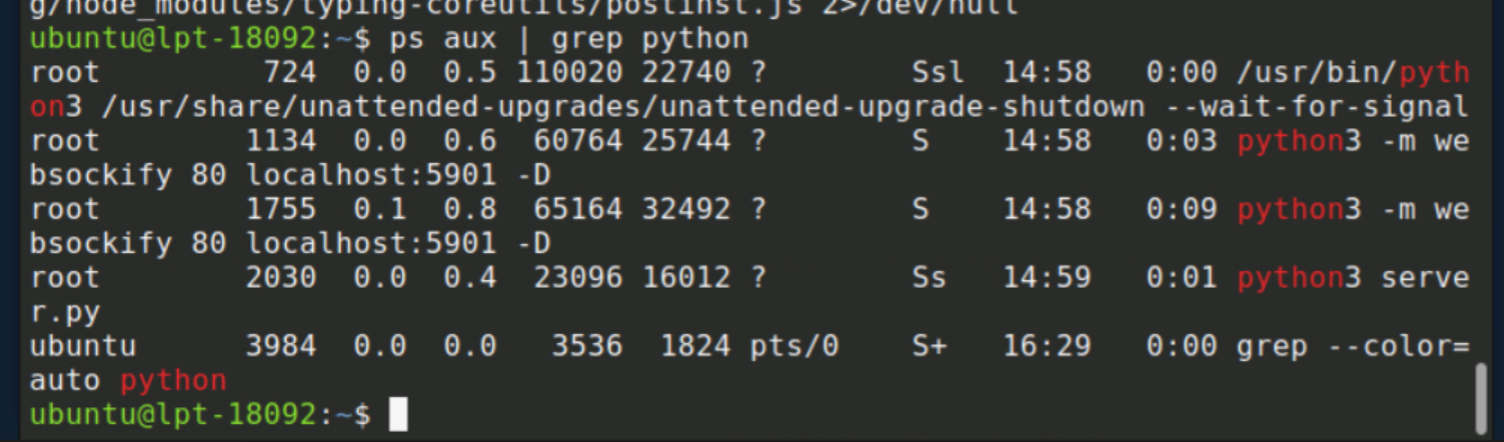 ps aux showing python3 process running as root with PID 2030